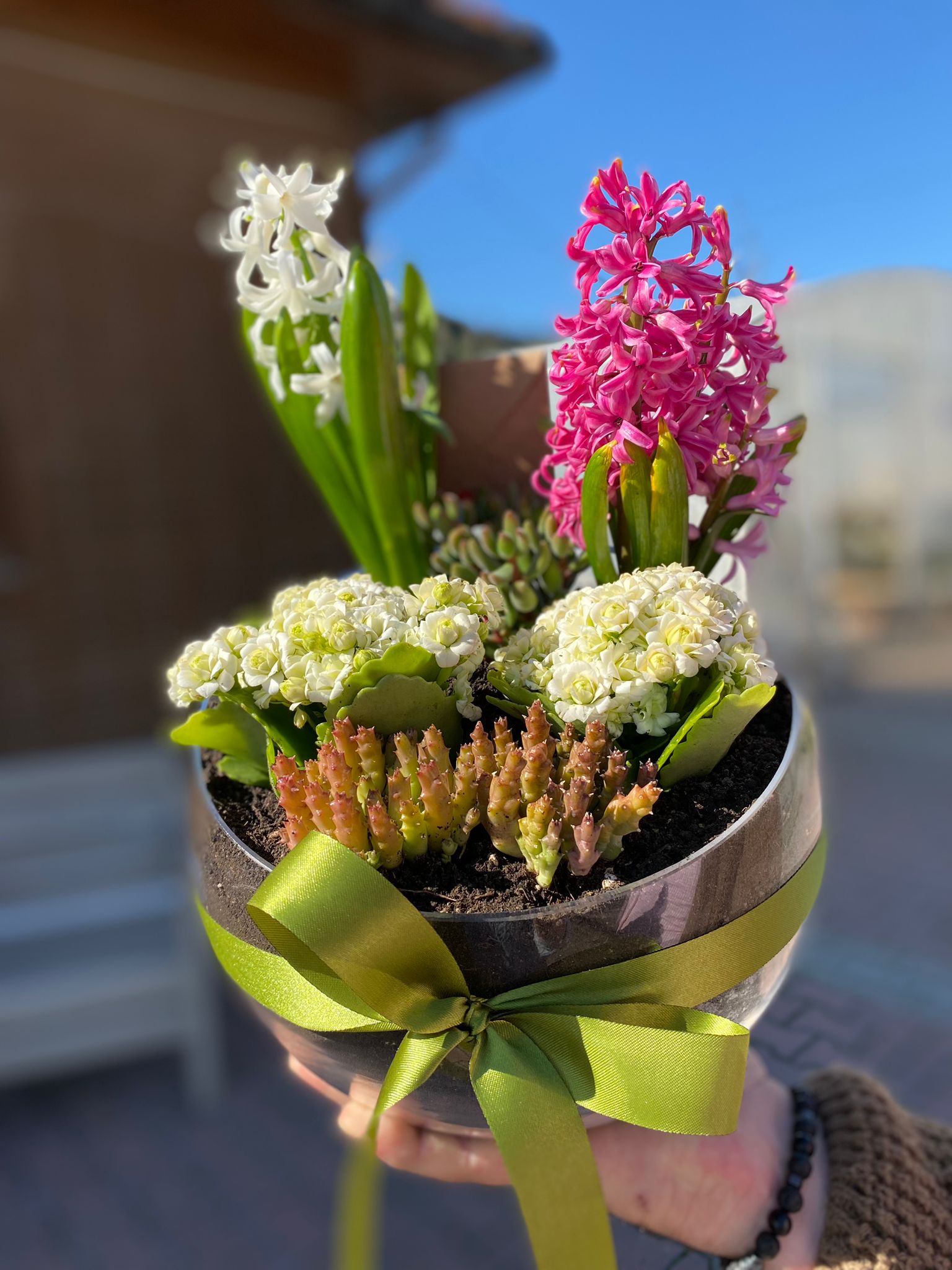 Botanica Sera ve Çiçekçilik