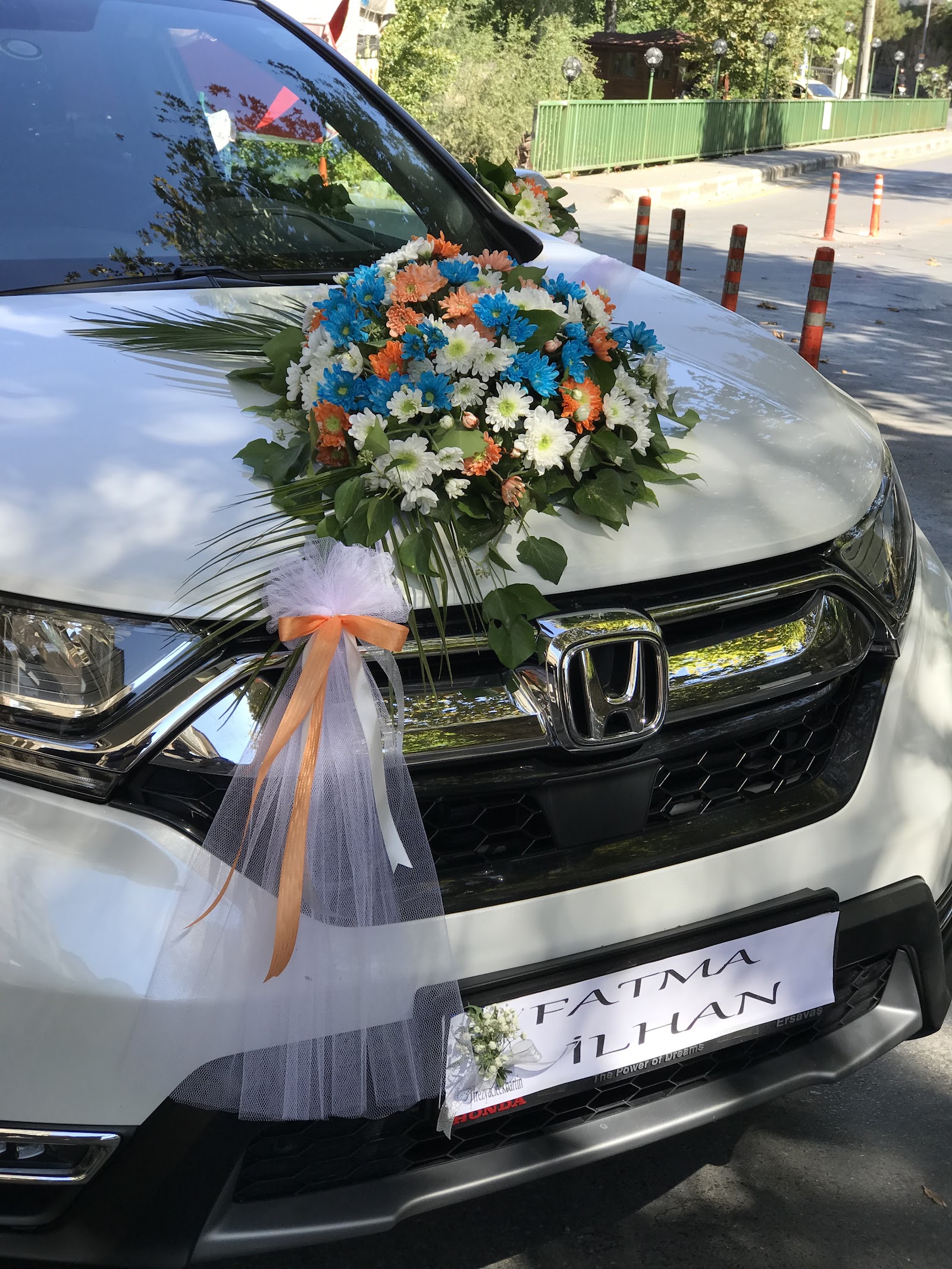 Frezya Flowers