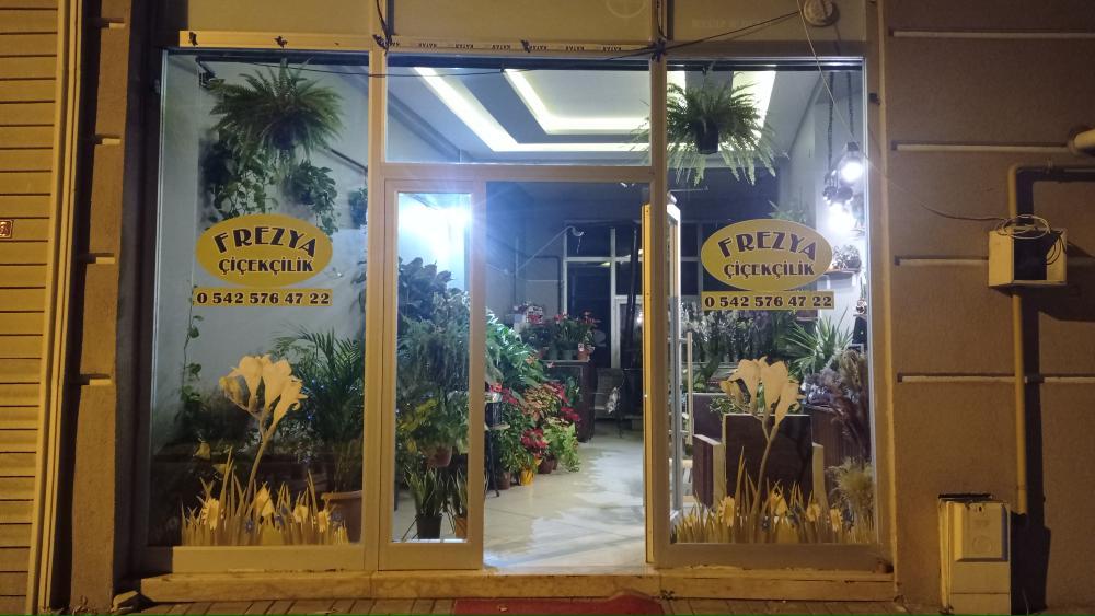 Frezya Flowers