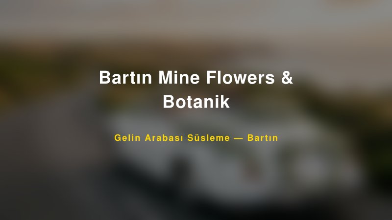 Bartın Mine Flowers & Botanik — Bartın Kır Düğünü Mekanı Rehberi